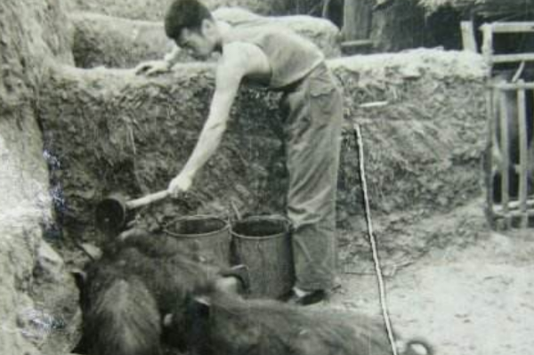 1958年，遼寧一小夥攜妻兒回家，意外發現自己在老家當了8年烈士