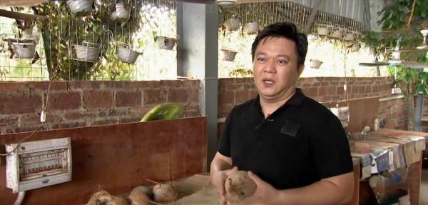廣東大叔巧用椰子養雞,雞“瘦身苗條”面板白,年銷1000多萬元 廣東大叔巧用椰子養雞,雞“瘦身苗條”面板白,年銷1000多萬元