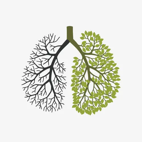 報告上的肺纖維灶，是什麼意思？嚴重嗎？