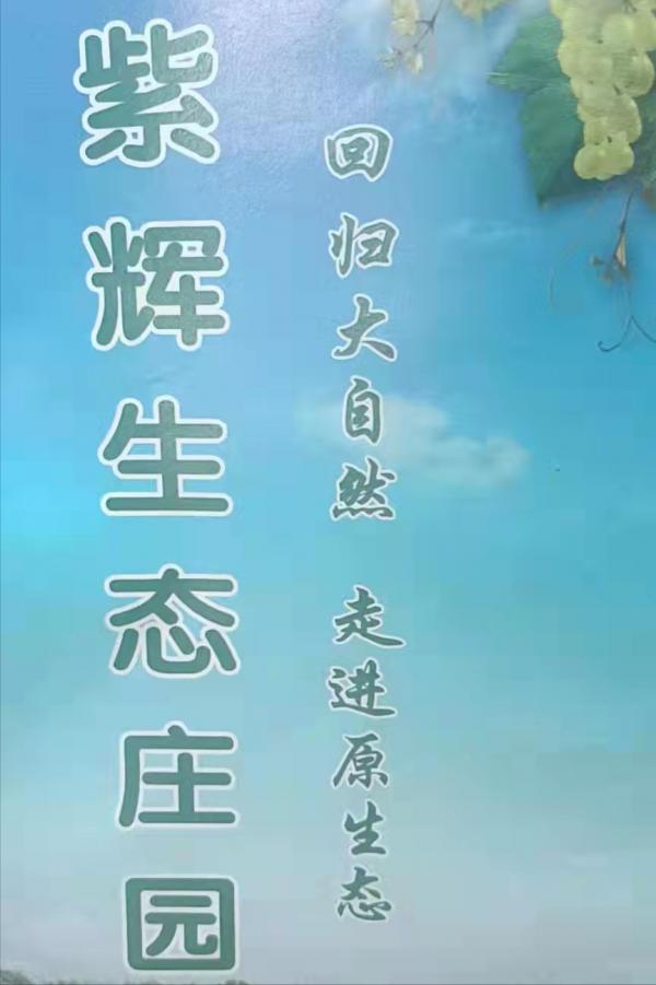 紫輝生態 碩果累累 紫輝生態 碩果累累