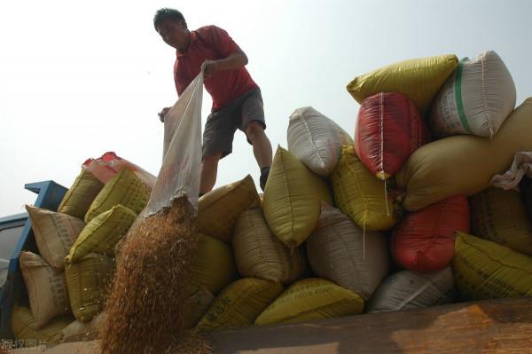 兩天連發六文,國家宣佈干預價格,幫農民朋友解決了這件煩心事 兩天連發六文,國家宣佈干預價格,幫農民朋友解決了這件煩心事