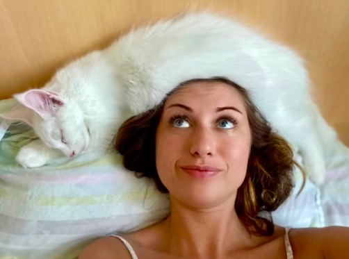 俄羅斯貓咪不到2歲體重卻有24斤，還會繼續長！真&quot&semi;溫柔巨人&quot&semi;