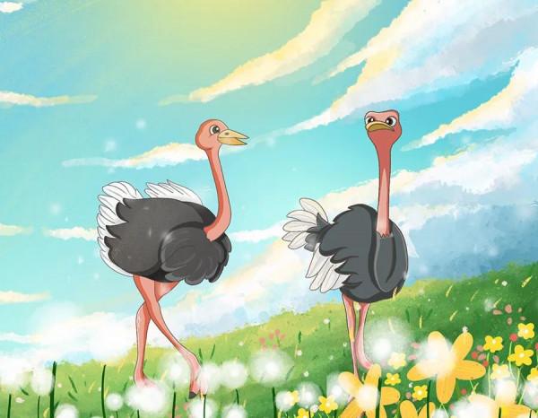 人與自然和諧共生教育：陸生動物（五）