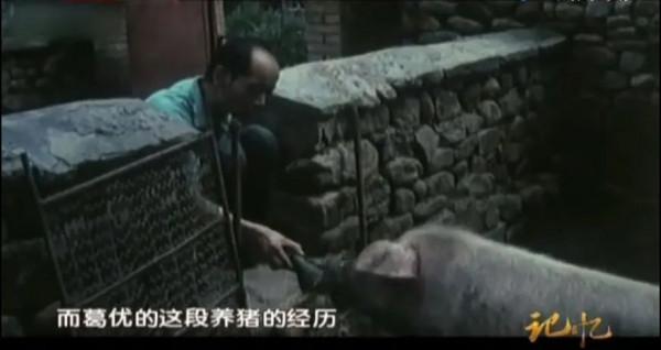 空姐、養豬工人、護士,這10位明星的第一份工作都和演戲沒關係 空姐、養豬工人、護士,這10位明星的第一份工作都和演戲沒關係