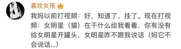 不養寵物你都不知道，它們來了後你的家庭地位能下降到什麼程度