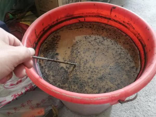 野釣鯰魚，就用這幾種餌料，一次釣上十幾條，一點都不困難