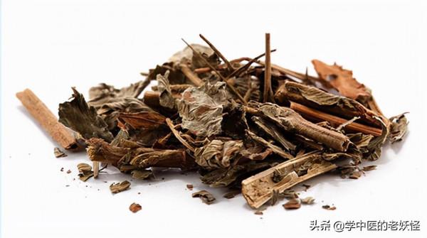 每天學習一味中藥——仙鶴草 每天學習一味中藥——仙鶴草