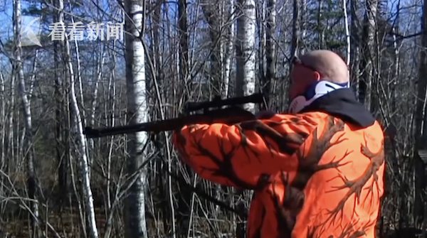 美國愛荷華州超8成白尾鹿感染新冠 可能影響疫情 美國愛荷華州超8成白尾鹿感染新冠 可能影響疫情