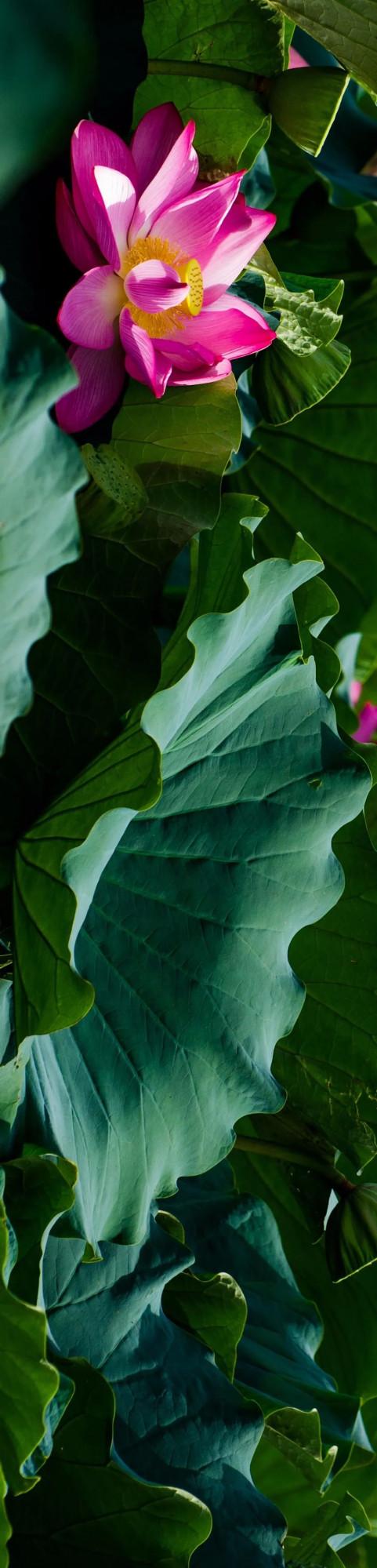 成年人玩得這麼野，小心把命都玩丟了