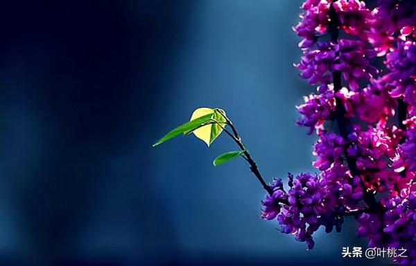 如果你感覺撐不下去了，不妨看看凌晨的朋友圈