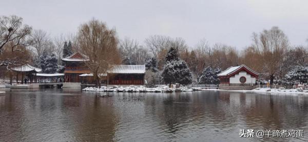 難覽觀園全畫景 雪覆臘梅一隅香&mdash;&mdash;踏雪尋遊北京大觀園