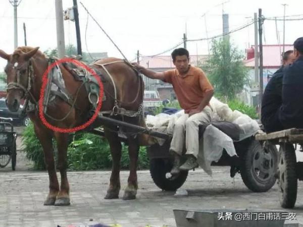 農村六七十年代的5件老物件,看見它們好像回到生產隊大集體時代 農村六七十年代的5件老物件,看見它們好像回到生產隊大集體時代