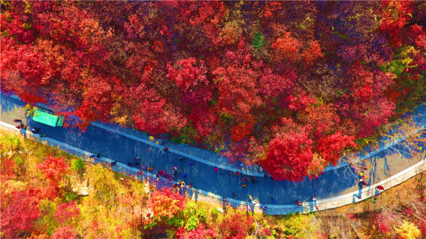 抓住秋季的尾巴,不要留有遺憾,這6個地方美爆了 抓住秋季的尾巴,不要留有遺憾,這6個地方美爆了