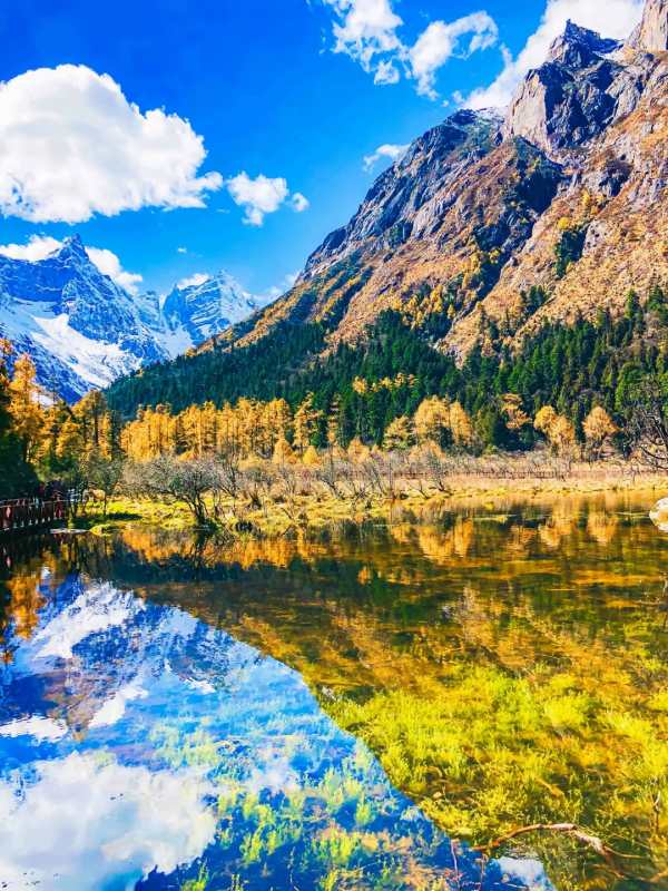 南國的樹葉，北國的白雪，這麼美的季節，怎忍心辜負？出發吧