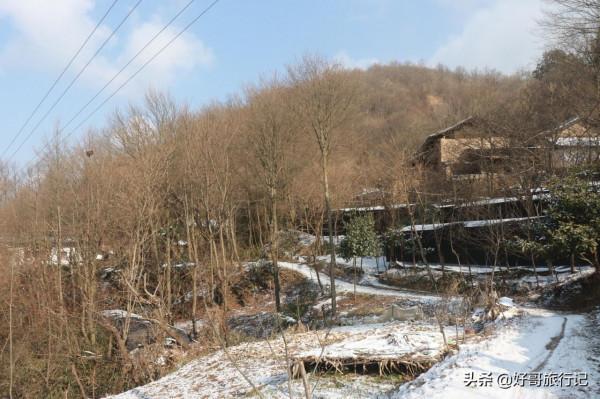 秦嶺二房山大灣裡，山路上隨處可見的的柿子樹，大多都沒有人採摘