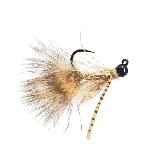 令人眼花繚亂的飛釣歐式若蟲