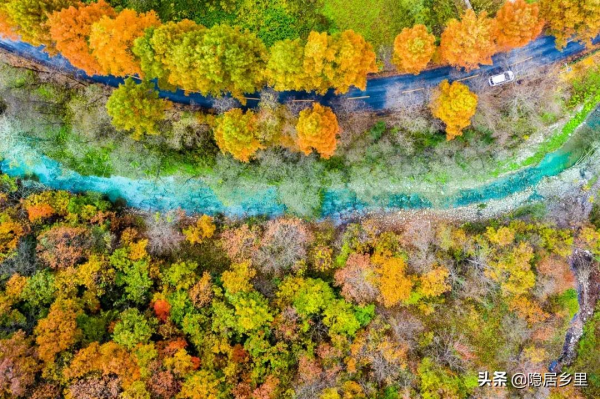 秦嶺紅葉房開售 | 一座座山間小屋，藏著秦嶺最美的秋
