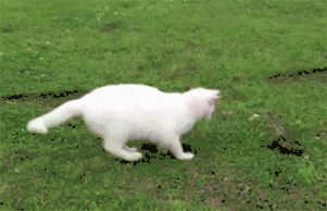 解密筋骨訓練 解密筋骨訓練