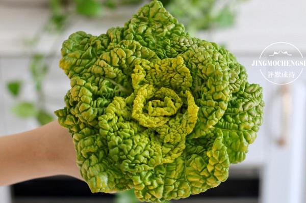 天冷了，砂鍋菜比炒菜更受歡迎，一碗料汁就能搞定，鮮甜好吃