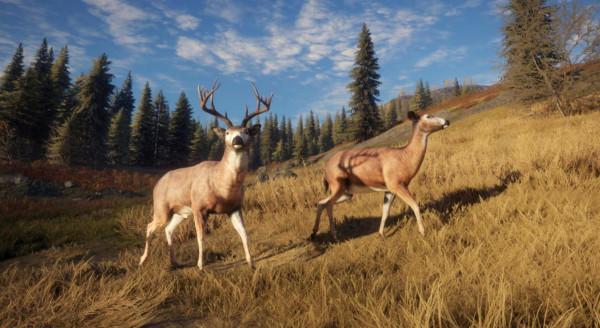 超級養老休閒的狩獵遊戲,讓你體驗真實的打獵氛圍 超級養老休閒的狩獵遊戲,讓你體驗真實的打獵氛圍