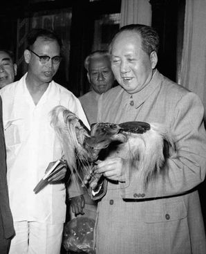 曾澤生抗美援朝指揮出色,見過主席後,為何說“北京待不下去了” 曾澤生抗美援朝指揮出色,見過主席後,為何說“北京待不下去了”