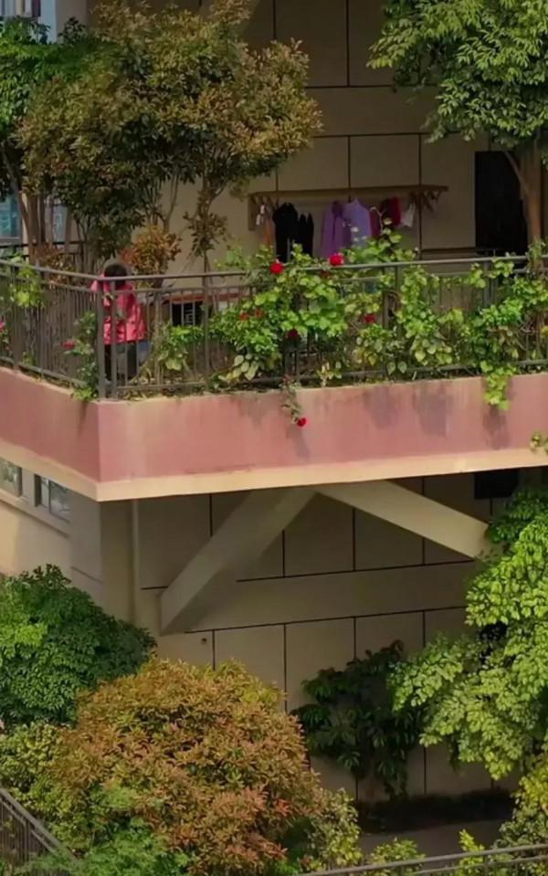 城市住宅分四代：一代茅草房二代磚瓦房三代電梯房四代空中庭院房