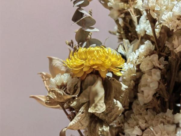 “下雨沒傘”的日子裡，慶幸有你----致友誼