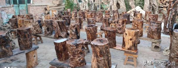 木石心音相關話題之五：木石心音主要使用什麼木料？