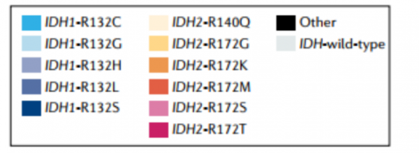 「週三讀文獻」大咖評 | 劉啟發教授：立足AML，展望未來，全面解析IDH突變對AML發展和治療的影響