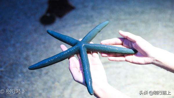 海南富力海洋主題公園，打開了解海洋的門