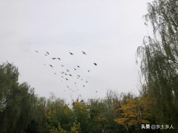 老人說：今年是“冬夏蓋春秋，寒暑皆不通”，啥意思？有啥預兆？