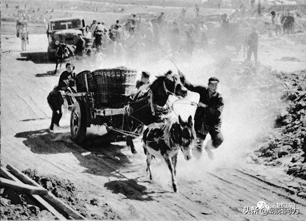 五十年代催人奮進的老照片：毛主席來到十三陵水庫參加義務勞動