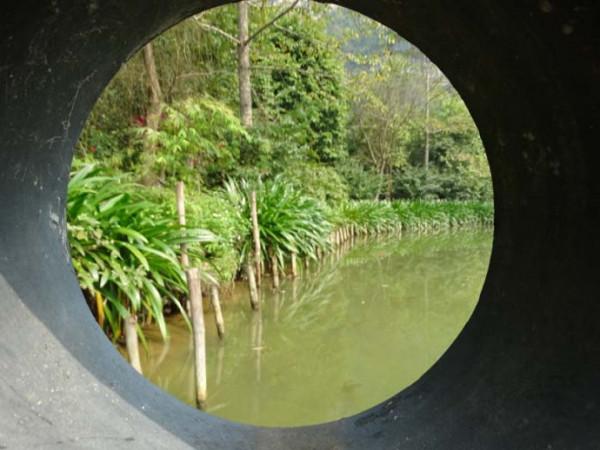 廣西美景慕名遊之七(2019.1) 廣西美景慕名遊之七(2019.1)