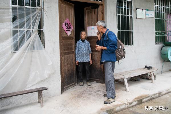 稀奇：老獸醫給豬牛牲口看病也要拿脈，聽說過的不多，見過的更少