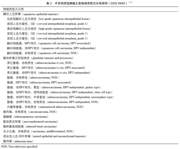 「指南與共識」| 子宮頸癌診斷與治療指南 「指南與共識」| 子宮頸癌診斷與治療指南