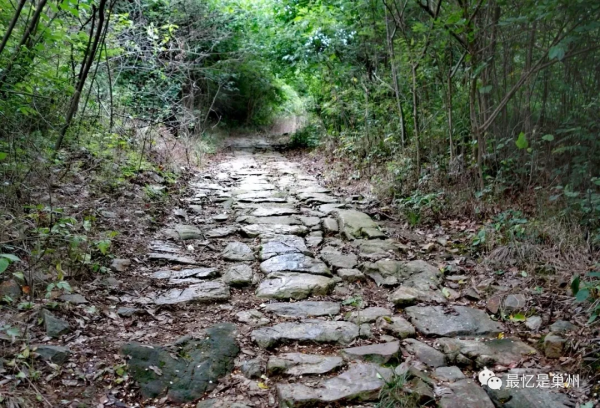 環巢湖行紀：尋跡含山仙蹤昭關