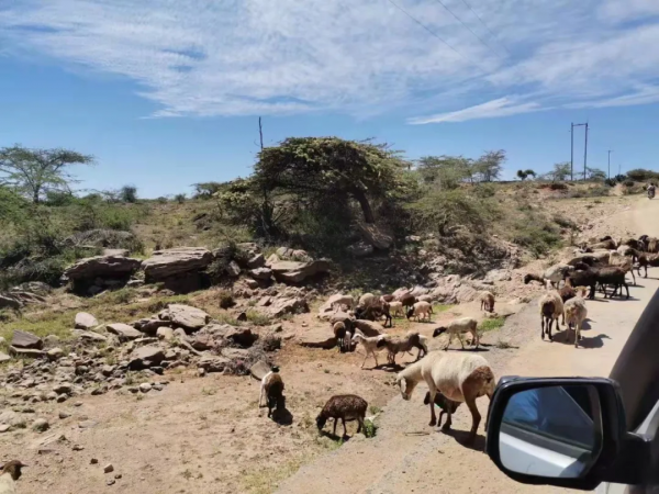 一個駐外女生和馬賽人的故事