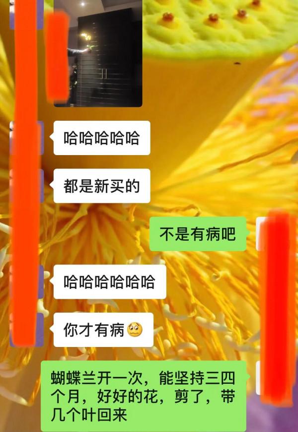 哪來這麼大情緒，處女座這嘴呀