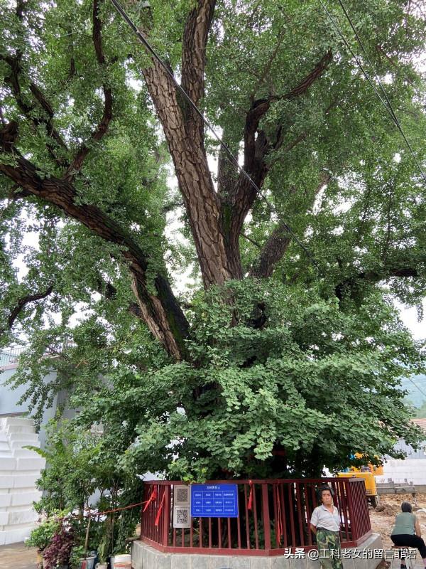 十三陵：大胃婆一個人的春餅宴