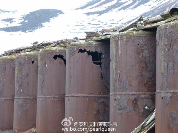 南極遊記 10 （下） 2016，01，25 欺騙島