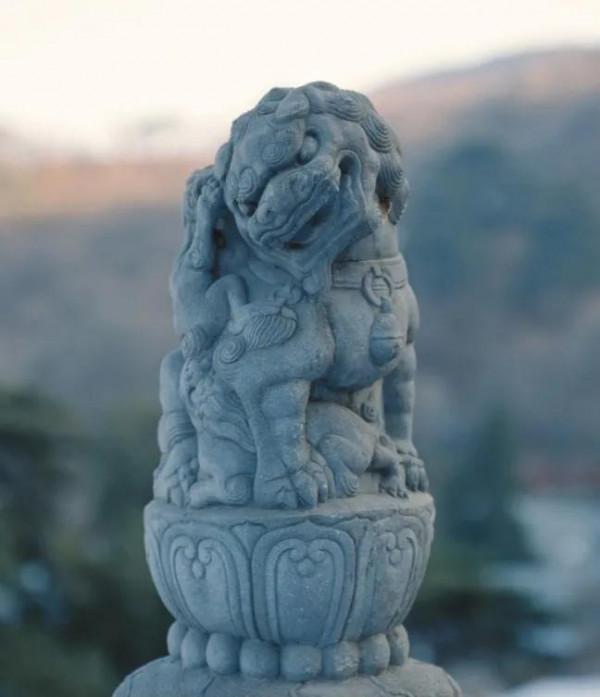 脖子有點歪歪的