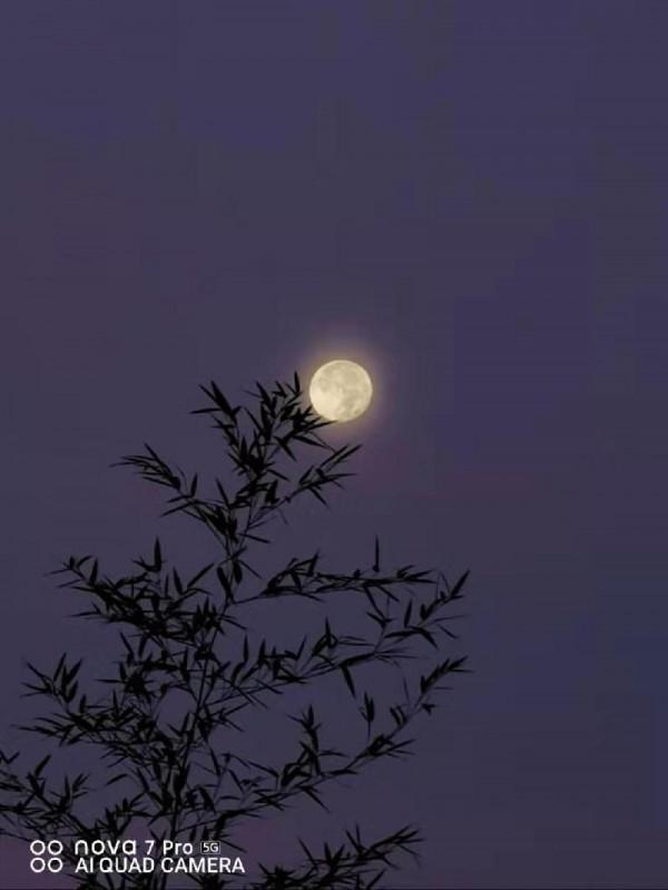 美文欣賞:張書成《賞月》 美文欣賞:張書成《賞月》