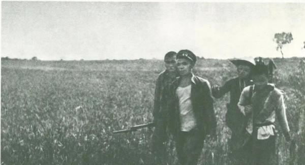 晉察冀•定縣抗戰編年史（244）