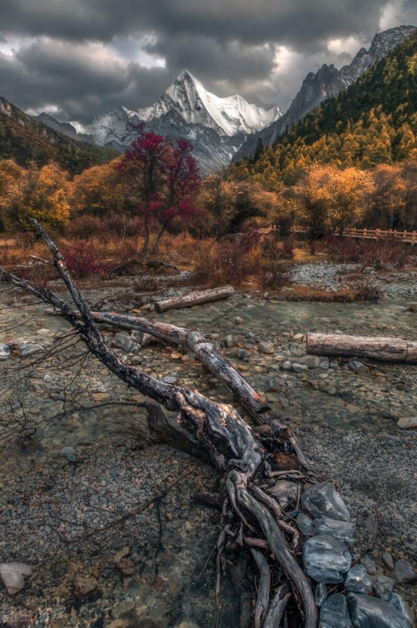 紅色才是中國秋天的主打色！這17處楓葉觀賞地，總有一個能驚豔你