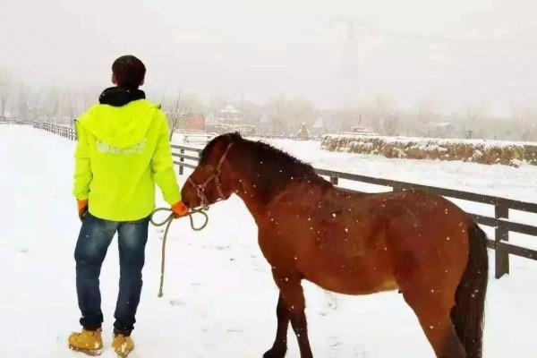 【FENG爆】2021豐臺冬季歡樂遊——綠野仙蹤郊野樂園冬季“冰雪童話”活動不容錯過！