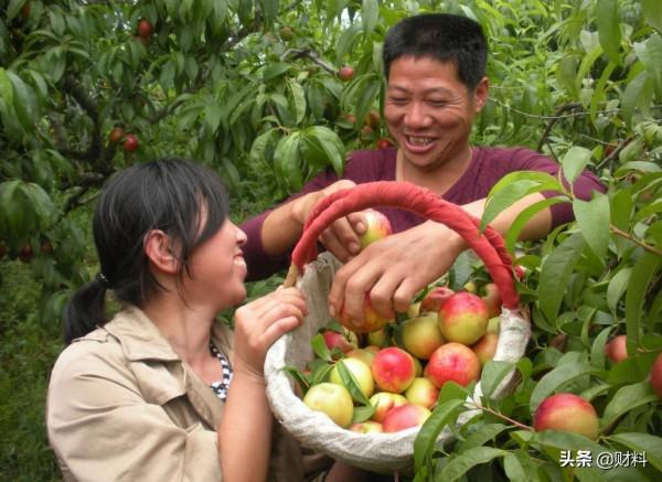 2021年起，農村有3種“小生意”將被嚴查，不及時收手的還會判刑