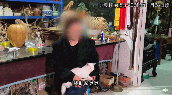 《當家主母》“喵咪事件”愈演愈烈,還有更殘忍的,都停止吧 《當家主母》“喵咪事件”愈演愈烈,還有更殘忍的,都停止吧