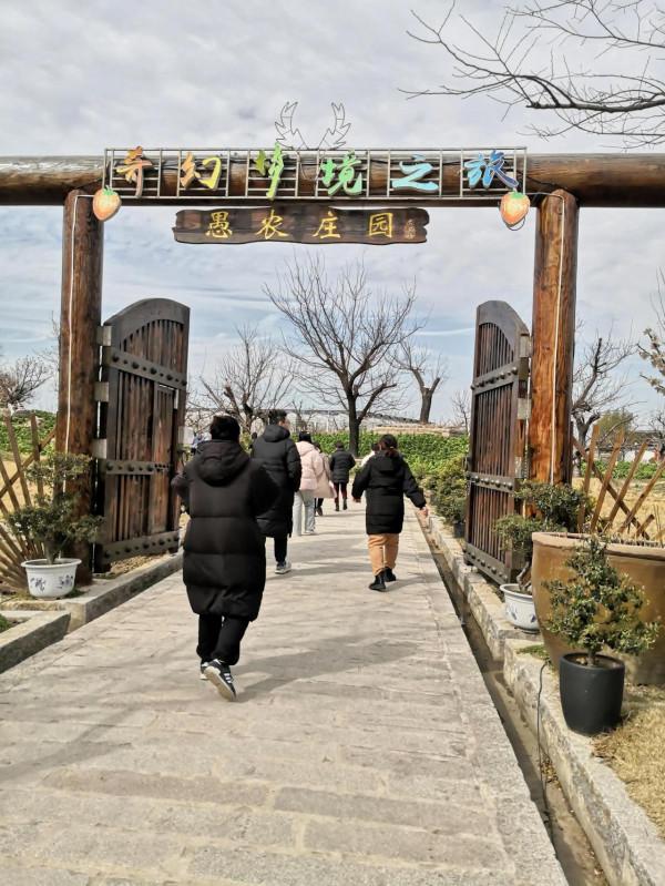 嘉定毛橋集市