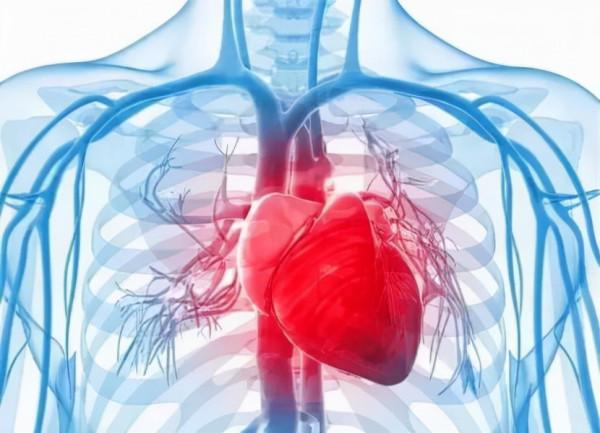 心腦血管病患者如何安度“多事之秋”