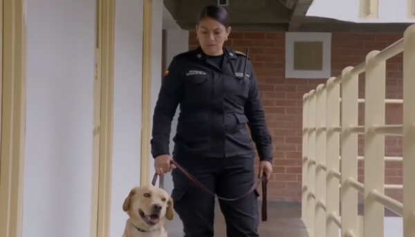 哥倫比亞監獄實拍：裡面關滿猖獗的毒販，為何支援配偶定期探訪？